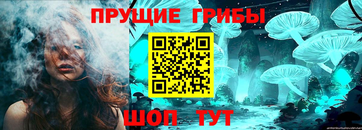 Псилоцибиновые грибы Cubensis Ейск